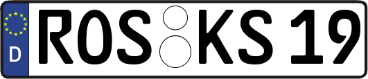 ROS-KS19