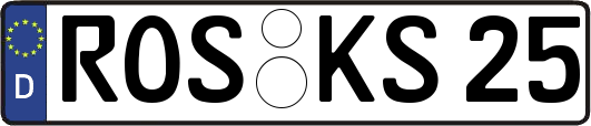 ROS-KS25