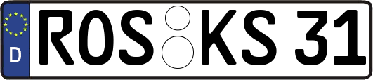 ROS-KS31