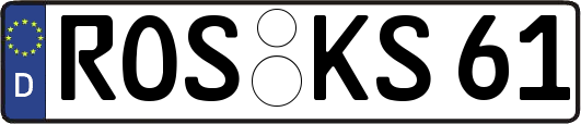 ROS-KS61