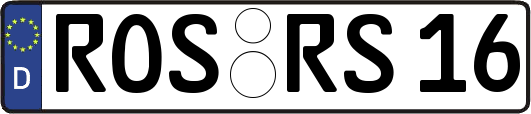 ROS-RS16