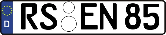 RS-EN85
