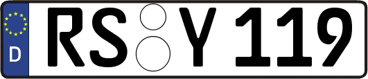 RS-Y119