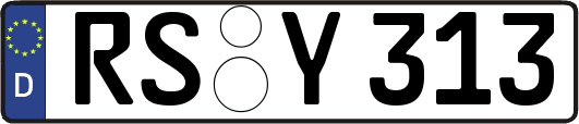 RS-Y313