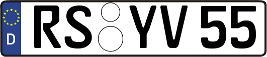 RS-YV55