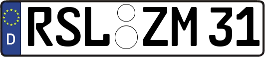 RSL-ZM31