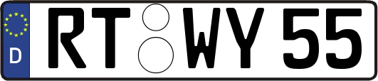 RT-WY55
