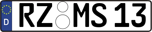 RZ-MS13