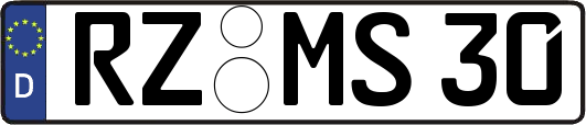 RZ-MS30