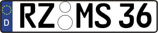 RZ-MS36