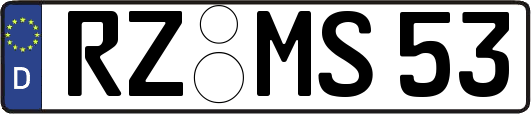 RZ-MS53
