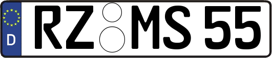 RZ-MS55