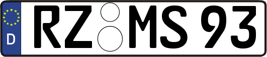 RZ-MS93