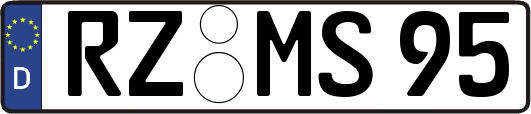 RZ-MS95