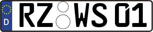 RZ-WS01