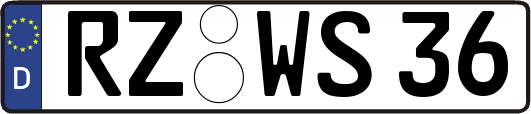 RZ-WS36