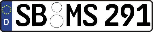 SB-MS291