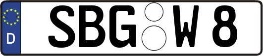 SBG-W8