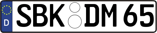SBK-DM65