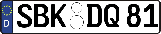 SBK-DQ81