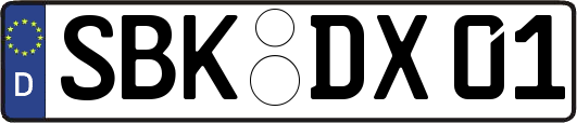 SBK-DX01