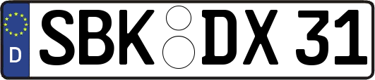 SBK-DX31