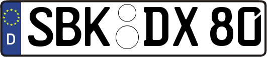 SBK-DX80