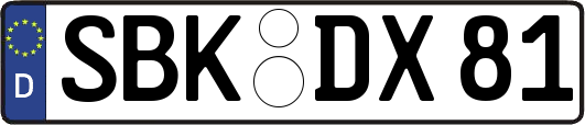 SBK-DX81