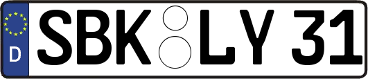 SBK-LY31