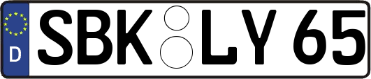 SBK-LY65