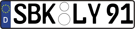 SBK-LY91