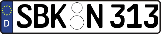 SBK-N313