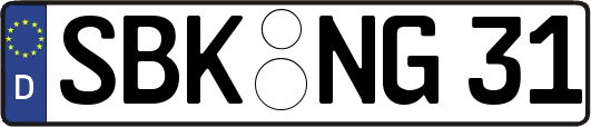 SBK-NG31