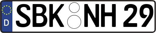 SBK-NH29