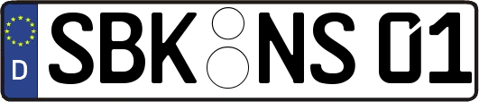 SBK-NS01