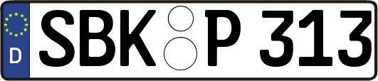 SBK-P313