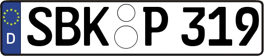 SBK-P319