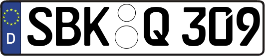 SBK-Q309