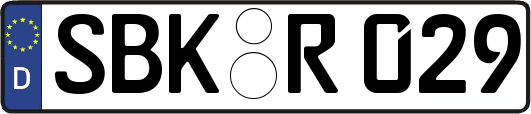 SBK-R029