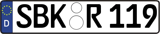 SBK-R119