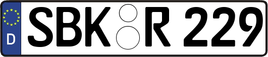 SBK-R229