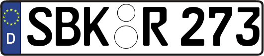 SBK-R273