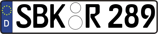 SBK-R289