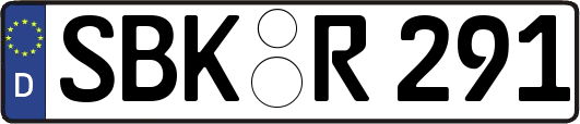 SBK-R291