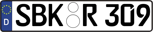 SBK-R309
