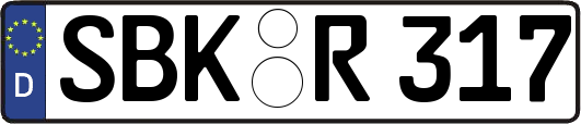SBK-R317