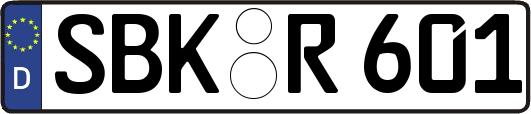 SBK-R601