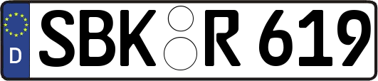SBK-R619