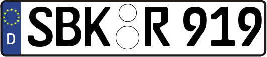 SBK-R919