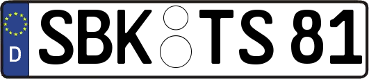 SBK-TS81
